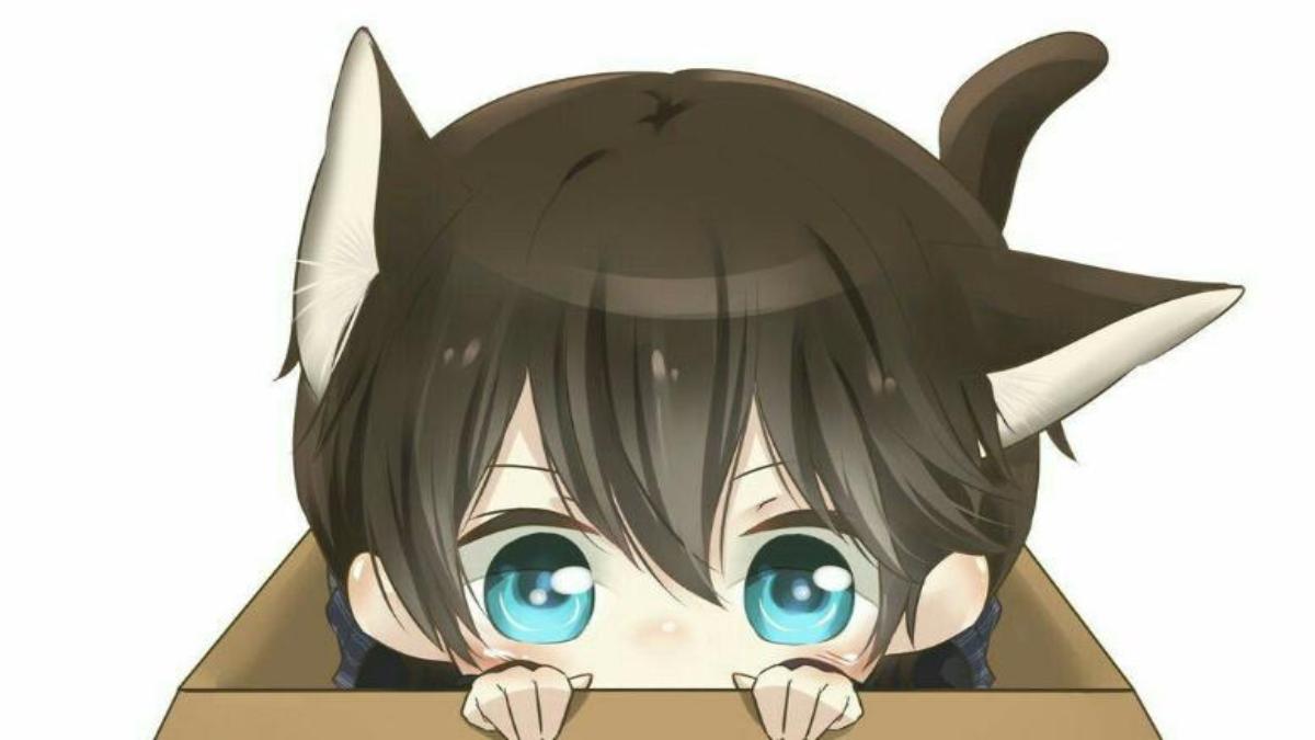 Hình nền mèo Simmy cute dễ thương 