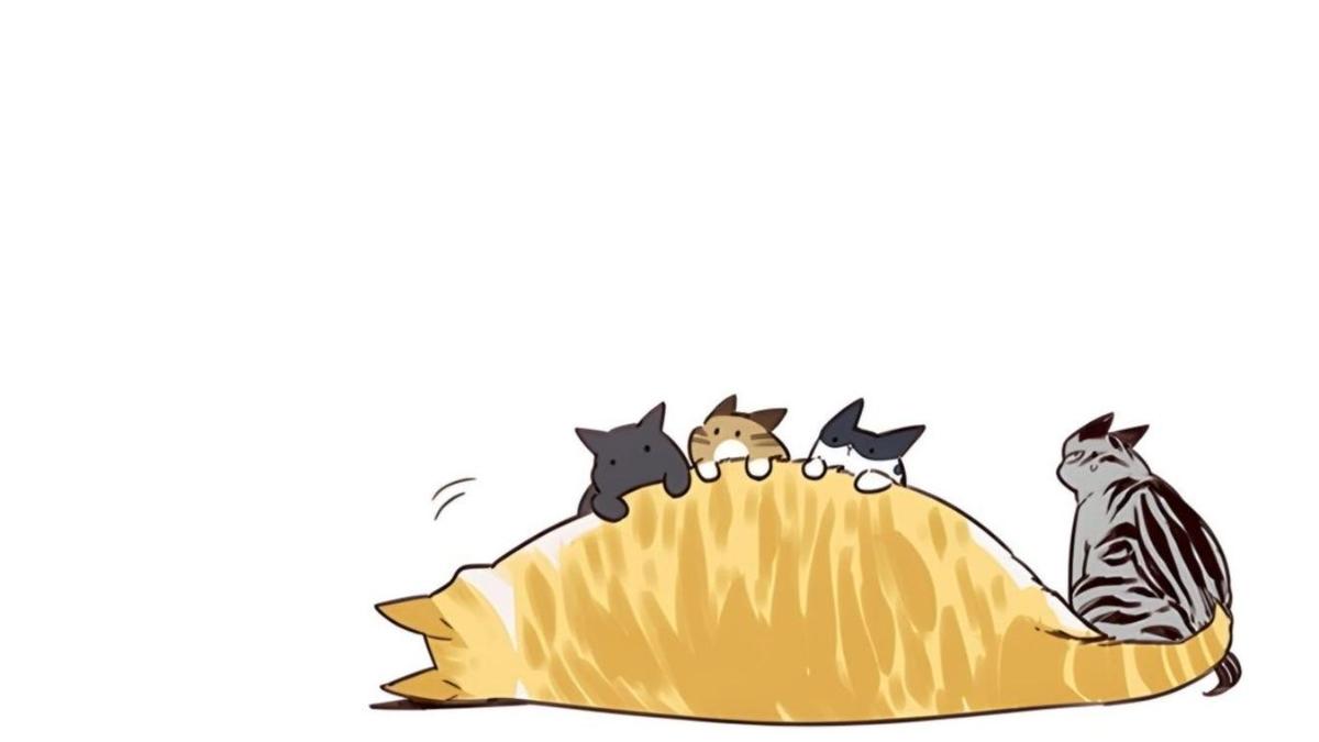 Hình nền mèo anime ngủ cho laptop 