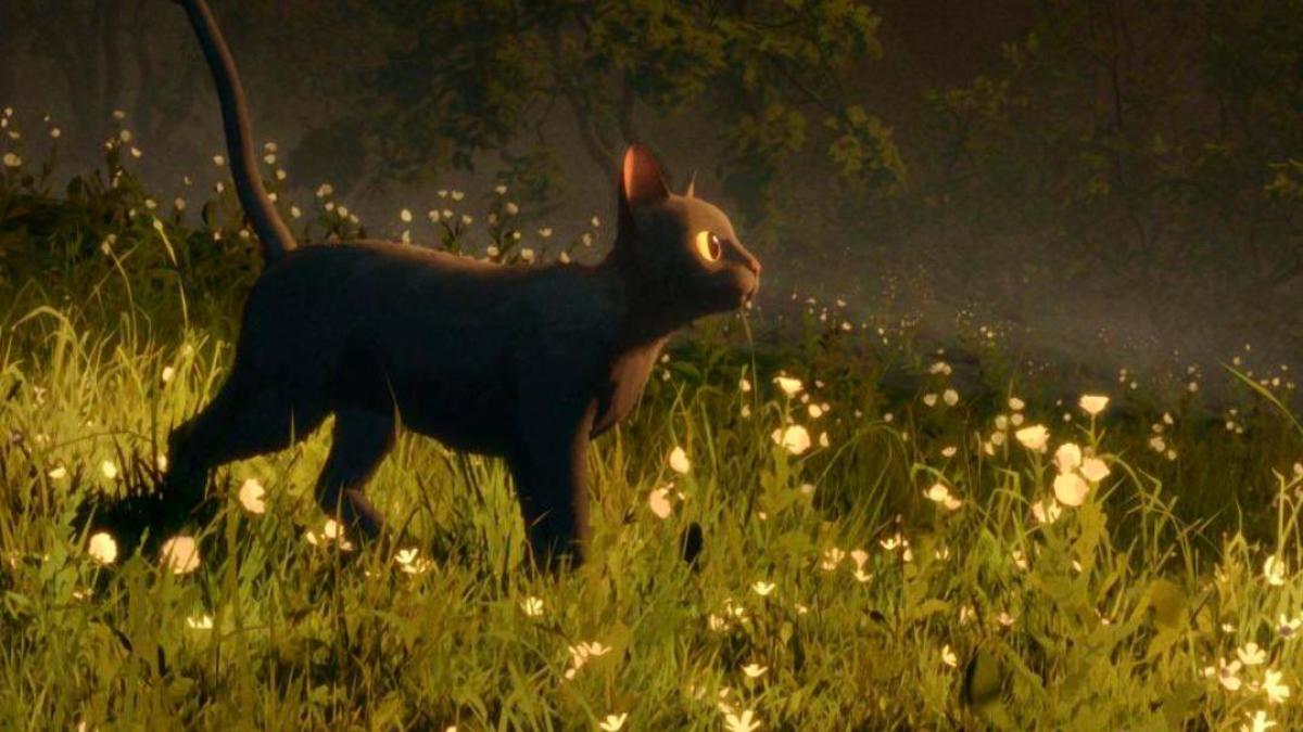 Hình nền mèo đen anime cho máy tính xinh 