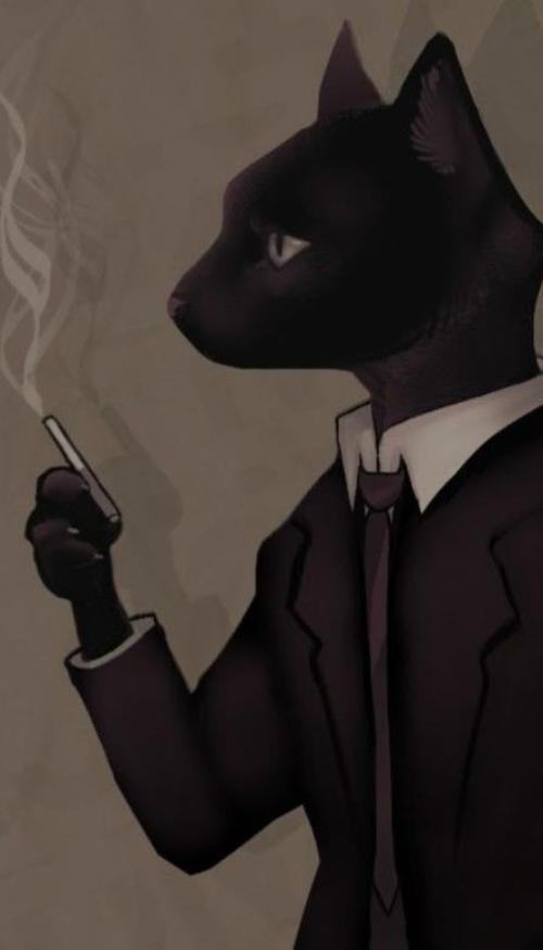 Tổng hợp hình mèo ngầu chibi xinh xỉu 