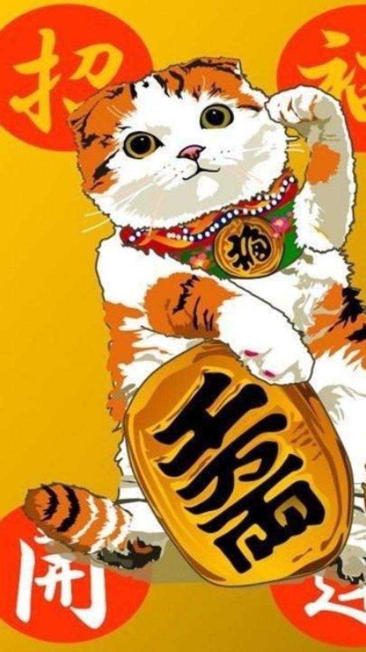 Hình nền mèo thần tài 3D cho iphone, zalo 