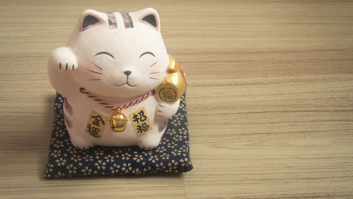 Hình nền máy tính ảnh mèo thần tài may mắn 