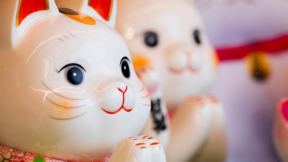 Hình nền máy tính ảnh mèo thần tài may mắn 